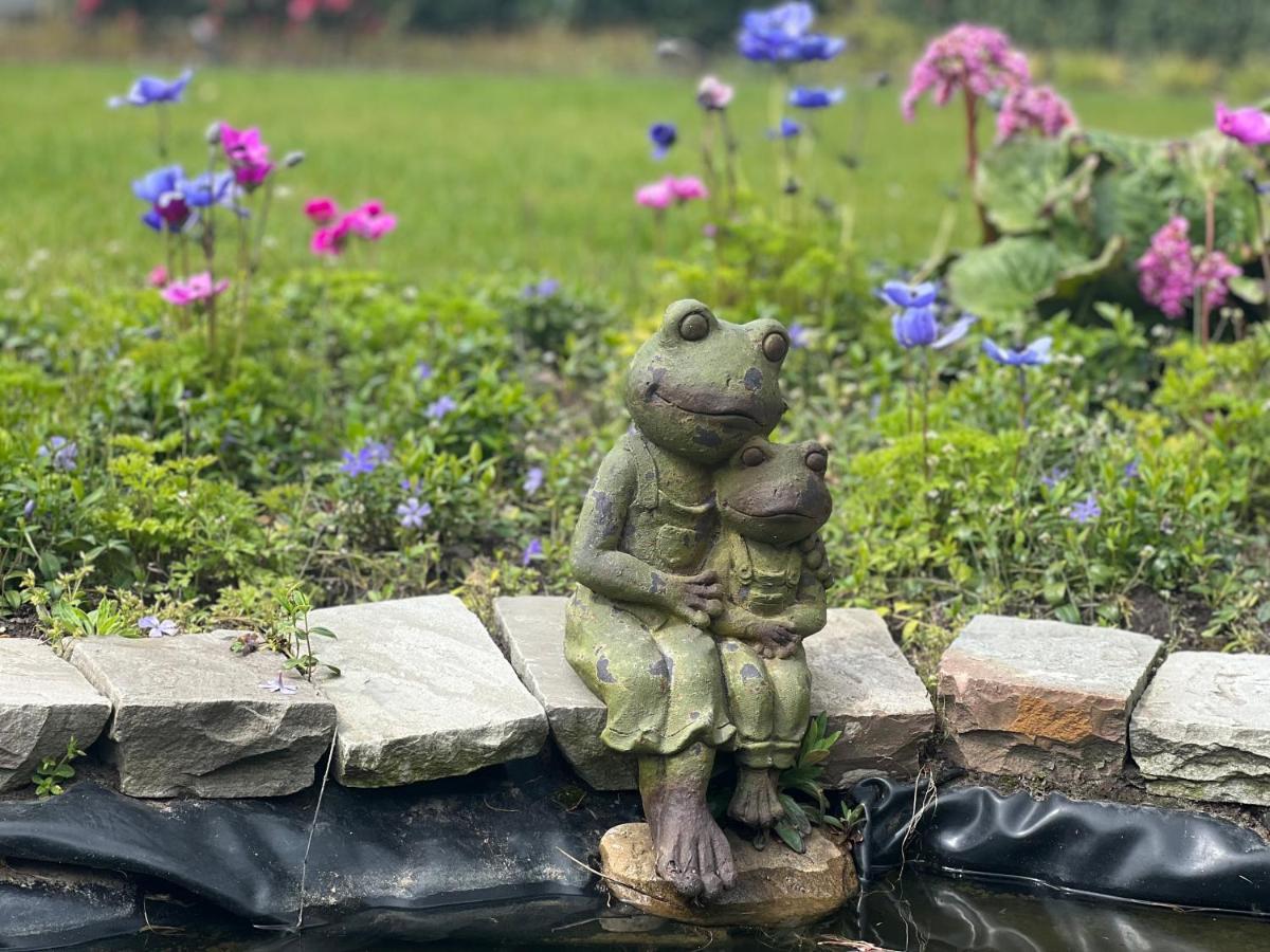 Ikigai B&B - Wellness Oud-Turnhout Eksteriør bilde