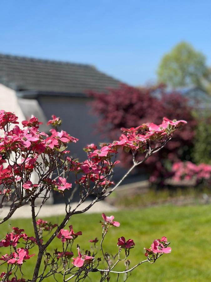 Ikigai B&B - Wellness Oud-Turnhout Eksteriør bilde