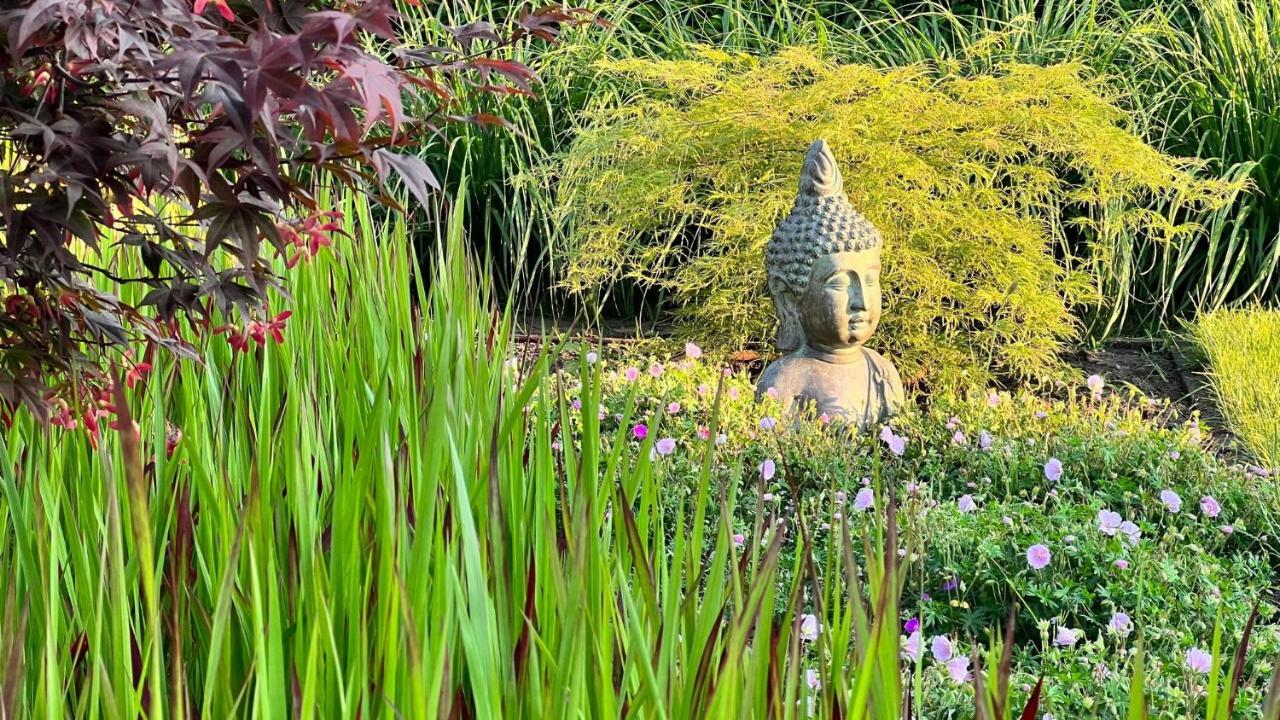 Ikigai B&B - Wellness Oud-Turnhout Eksteriør bilde