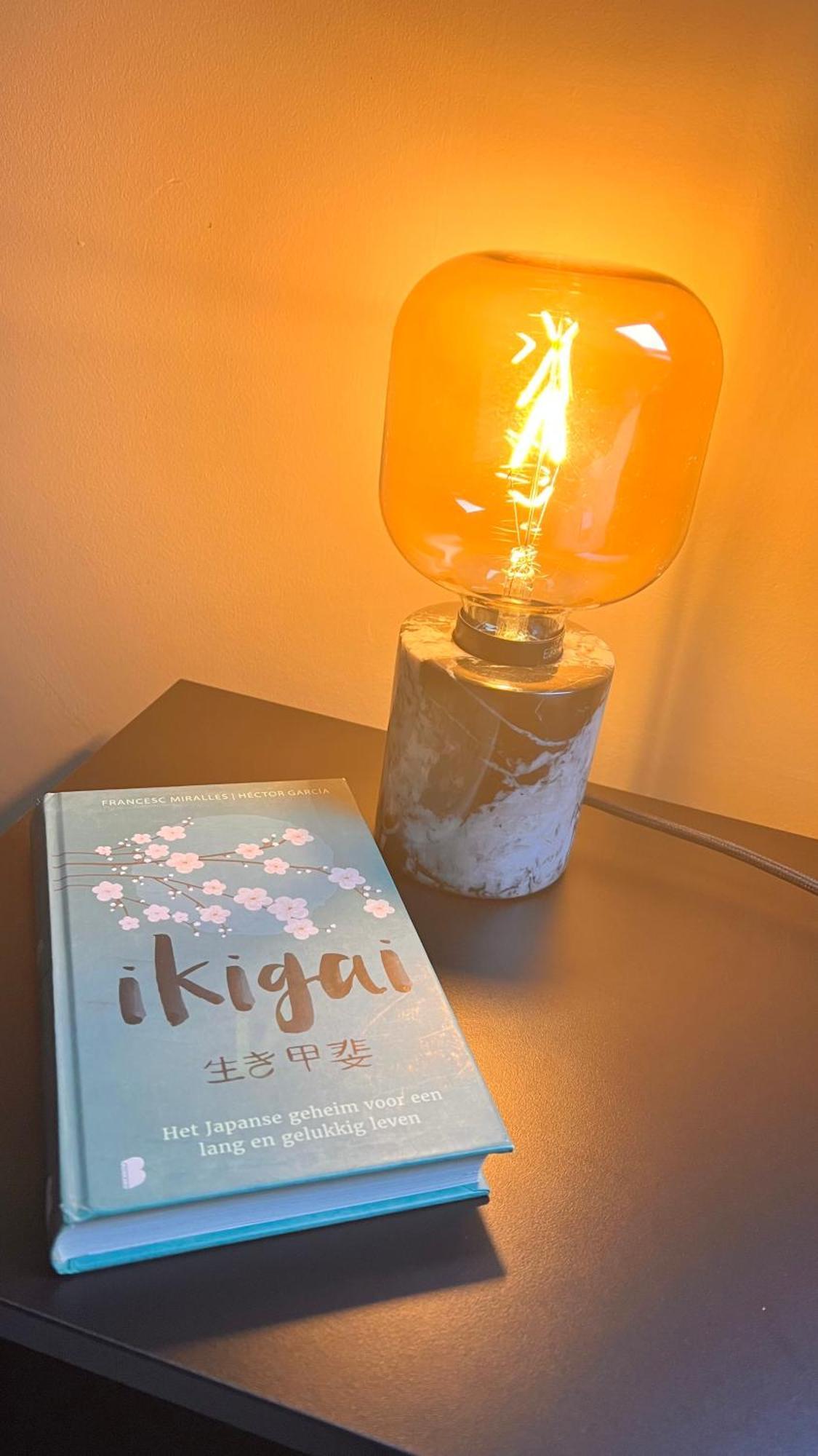 Ikigai B&B - Wellness Oud-Turnhout Rom bilde