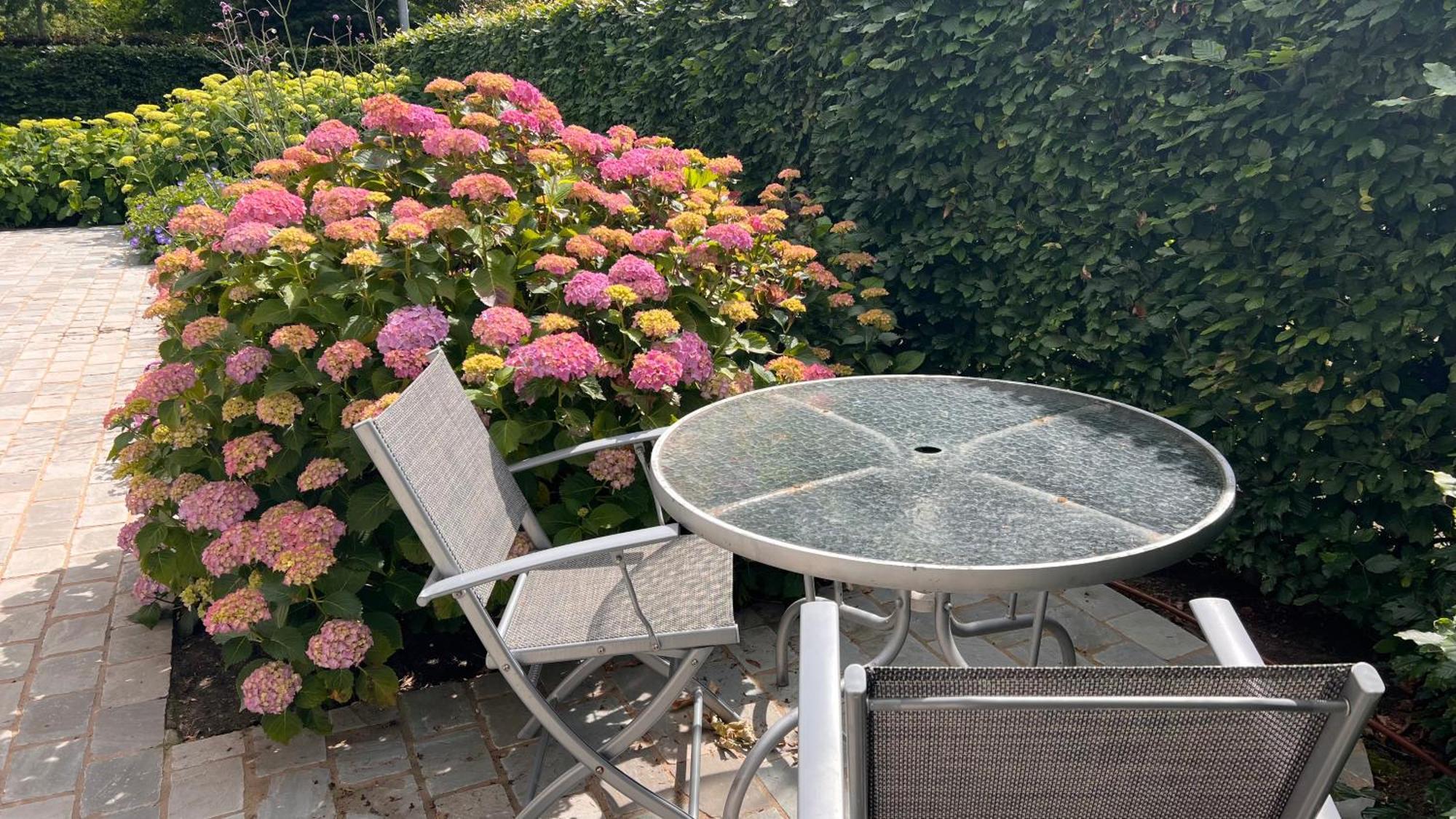 Ikigai Bed & Breakfast Oud-Turnhout Eksteriør bilde